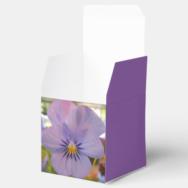 Haetzlern Favor Boxes (Opened)