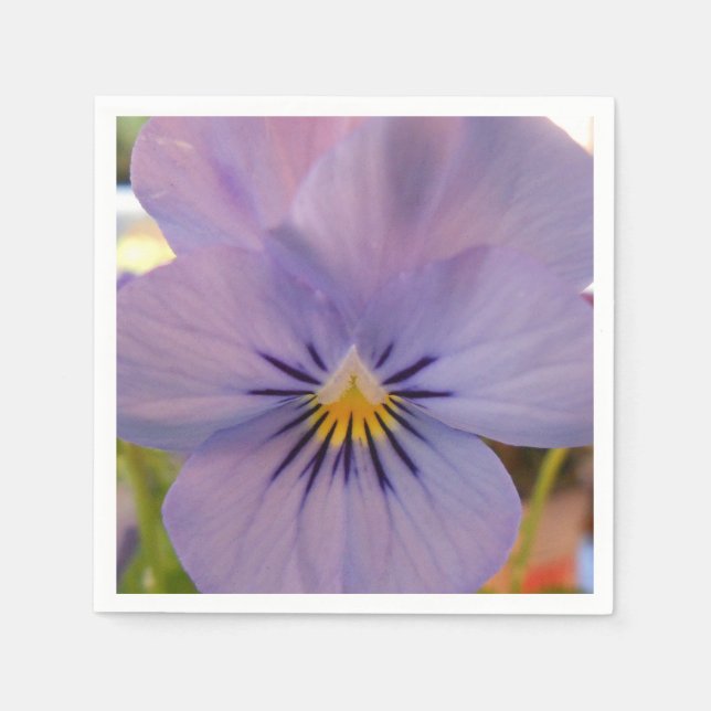 Haetzlern Paper Napkins (Front)