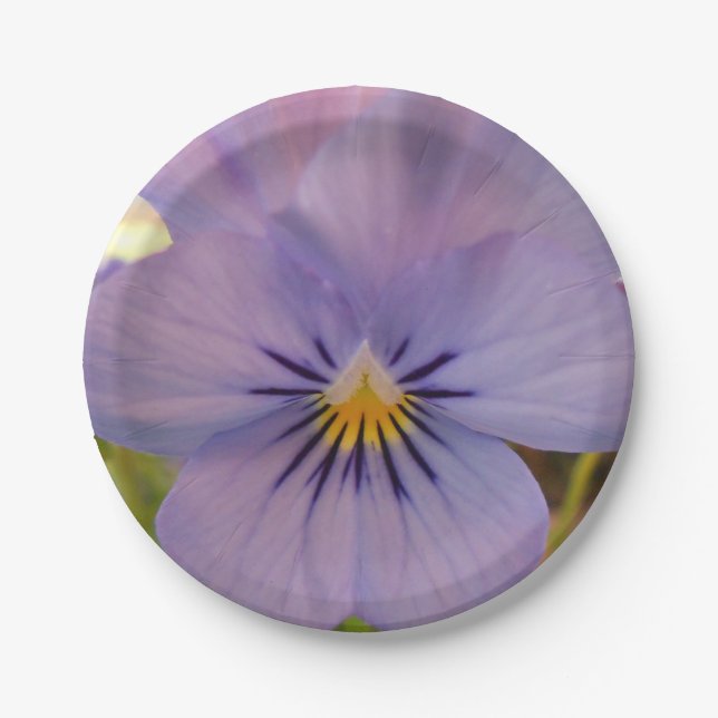 Haetzlern Paper Plates (Front)