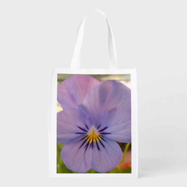 Haetzlern Reusable Grocery Bag (Back)