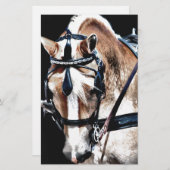 Haflinger (Front/Back)