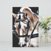 Haflinger (Standing Front)