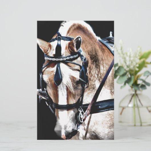 Haflinger (Standing Front)