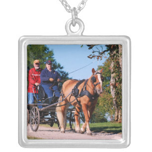 Haflinger at national drive silver plated necklace