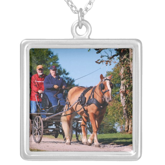 Haflinger at national drive silver plated necklace (Front)