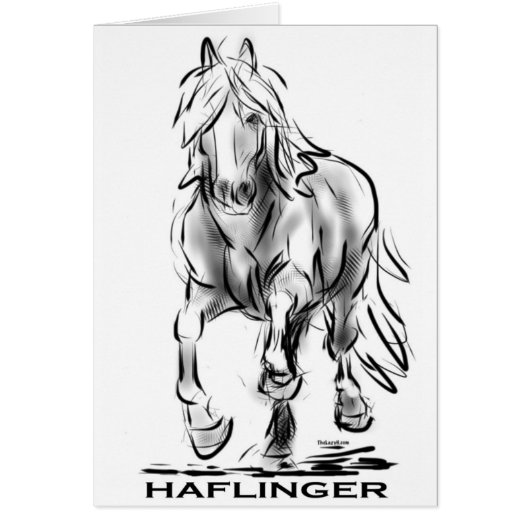 Haflinger Cards (Front)