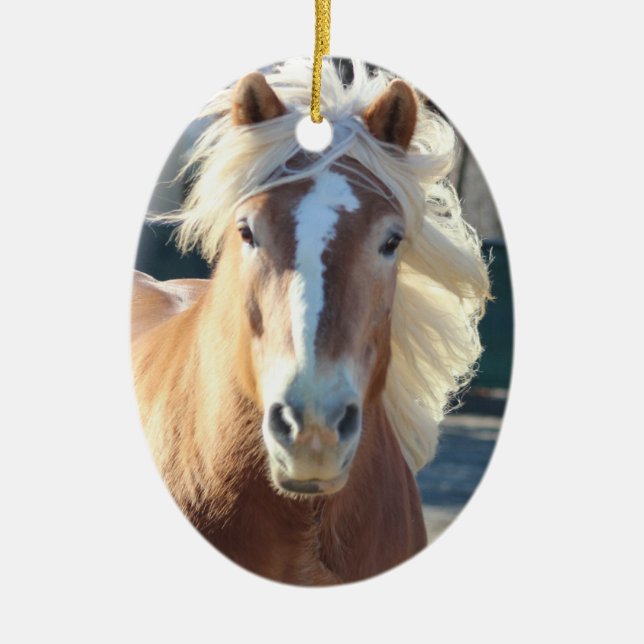 Haflinger christmas ornaments (Front)