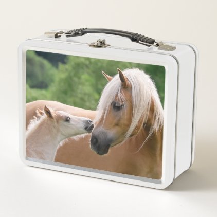Haflinger Cute Horses Foal and Mom Cuddling Kiss / Metal Lunch Box