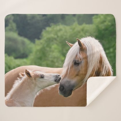 Haflinger Cute Horses Foal and Mom Cuddling Kiss . Sherpa Blanket