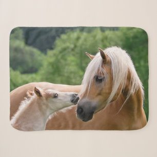 Haflinger Cute Horses Foal and Mom Cuddling Kiss Sherpa Blanket
