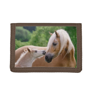 Haflinger Cute Horses Foal and Mom Cuddling Kiss - Trifold Wallet