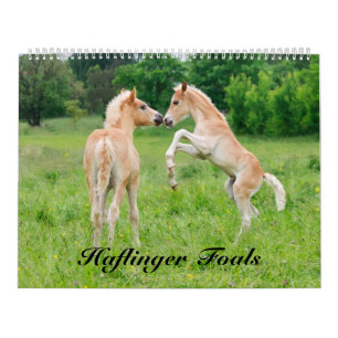 Haflinger Foals - size large Calendar