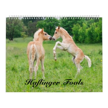 Haflinger Foals - Size Large Calendar by Kathom_Photo at Zazzle