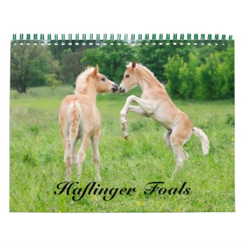 Haflinger Foals - Size Medium Calendar by Kathom_Photo at Zazzle