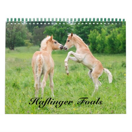 Haflinger Foals - Size Medium Calendar