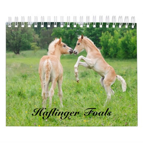 Haflinger Foals _ size small Calendar