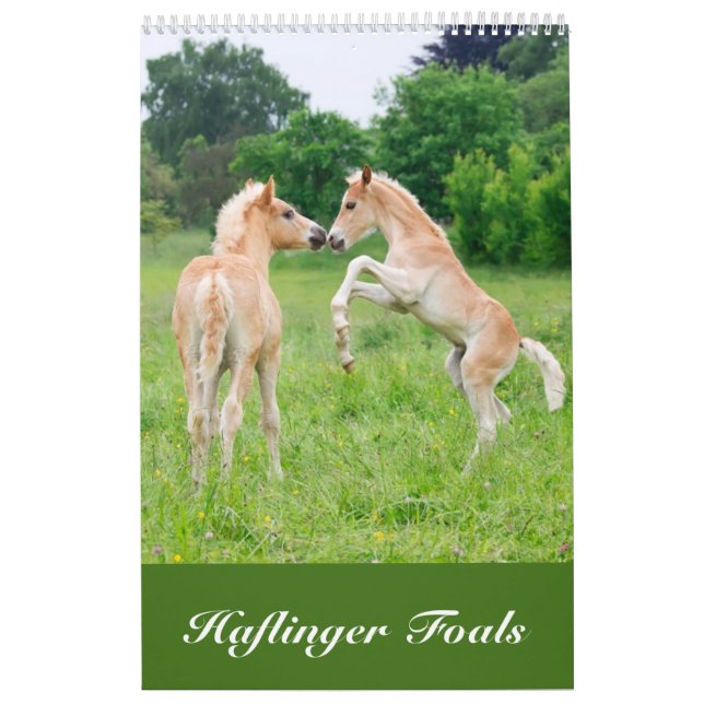 Haflinger Foals - size small Calendar (Cover)