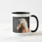 Haflinger Horse