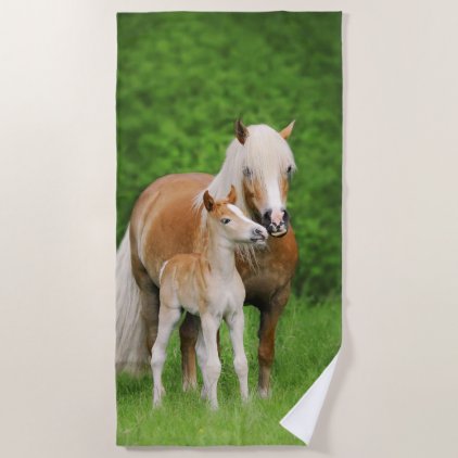 Haflinger Horse Cute Baby Foal Kiss Mum Pony Photo Beach Towel