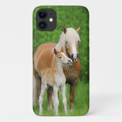 Haflinger Horse Cute Baby Foal Kiss Mum Pony Photo iPhone 11 Case
