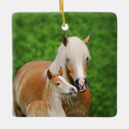 Haflinger Horse Cute Baby Foal Kiss Mum Pony Photo Ceramic Ornament