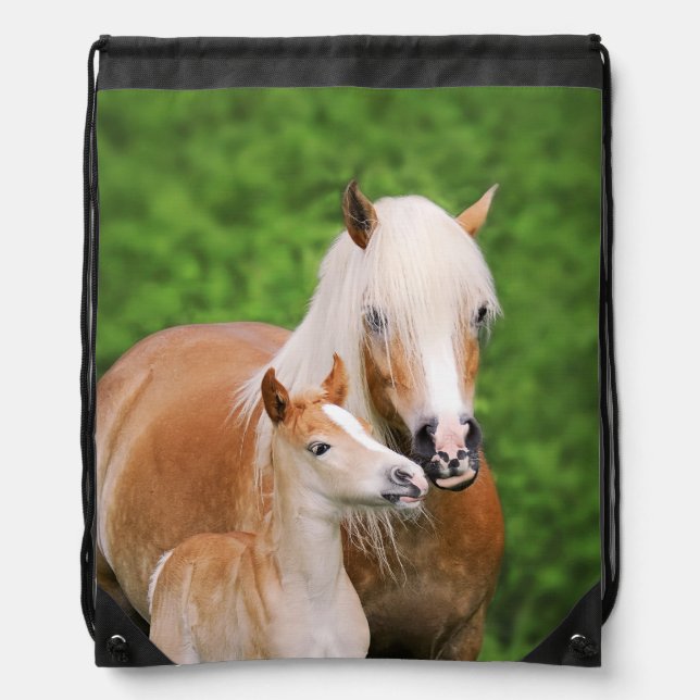 Haflinger Horse Cute Baby Foal Kiss Mum Pony Photo Drawstring Bag (Front)