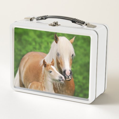 Haflinger Horse Cute Baby Foal Kiss Mum Pony Photo Metal Lunch Box
