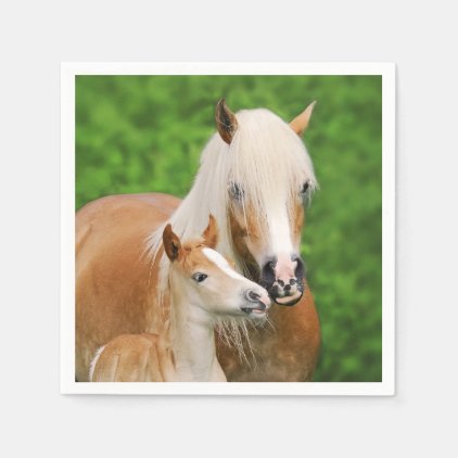 Haflinger Horse Cute Baby Foal Kiss Mum Pony Photo Paper Napkin