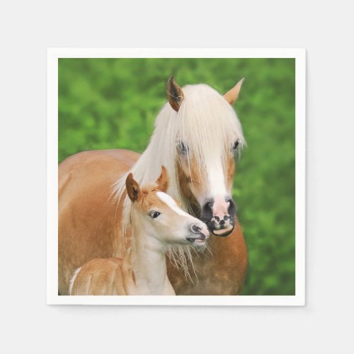 Haflinger Horse Cute Baby Foal Kiss Mum Pony Photo Paper Napkins