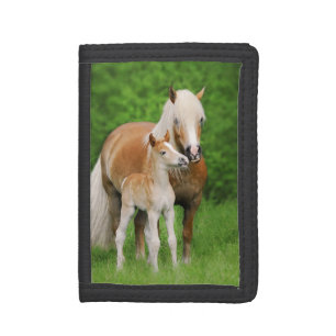 Haflinger Horse Cute Baby Foal Kiss Mum Pony Photo Trifold Wallet