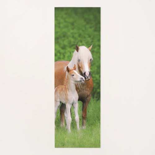 Haflinger Horse Cute Baby Foal Kiss Mum Pony Photo Yoga Mat