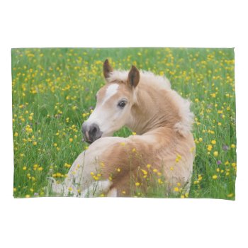 Haflinger Horse Cute Foal Flowerbed Pillow-cover Pillow Case by Kathom_Photo at Zazzle