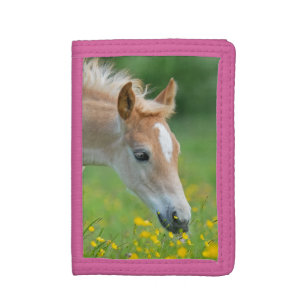 Haflinger Horse Cute Foal Flowers Portrait - Tri-fold Wallet