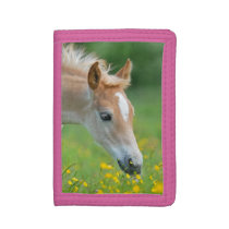 Haflinger Horse Cute Foal Flowers Portrait - Trifold Wallet Haflinger Horse Cute Foal Flowers Portrait - Trifold Wallet