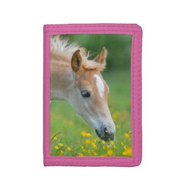 Haflinger Horse Cute Foal Flowers Portrait - Trifold Wallet