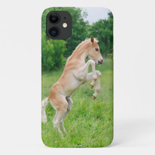 Haflinger Horse Cute Foal Frolicking and Playing - iPhone 11 Case