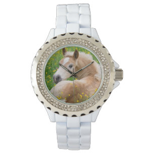 Haflinger Horse Cute Foal in a Flowerbed for girls Watch