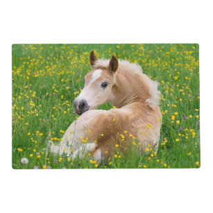Haflinger Horse Cute Foal in a Flowerbed - Placemat
