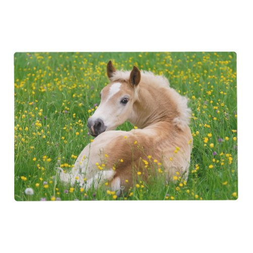 Haflinger Horse Cute Foal in a Flowerbed _ Placemat