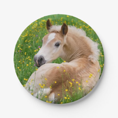 Haflinger Horse Cute Foal in Flowerbed Funny Party Paper Plates