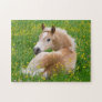 Haflinger Horse Cute Foal Rest in Flowerbed Jigsaw Jigsaw Puzzle