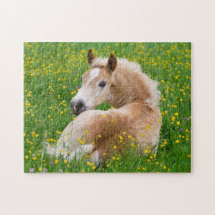 Haflinger Horse Cute Foal Rest in Flowerbed Jigsaw Puzzle