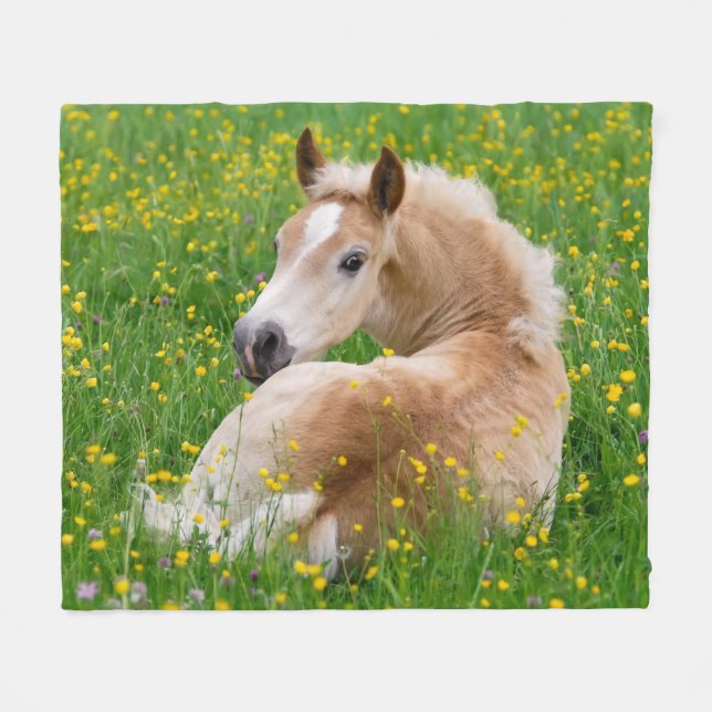 Haflinger Horse Cute Foal Resting Flowerbed, soft Fleece Blanket (Front (Horizontal))