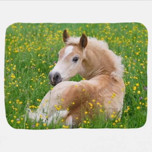 Haflinger Horse Cute Foal Resting Flowerbed _ Stroller Blanket