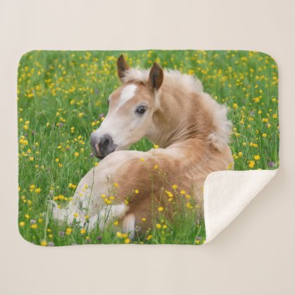 Haflinger Horse Cute Foal Resting in a Flowerbed Sherpa Blanket