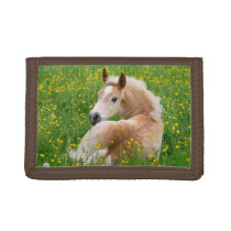 Haflinger Horse Cute Foal Resting in a Flowerbed Trifold Wallet