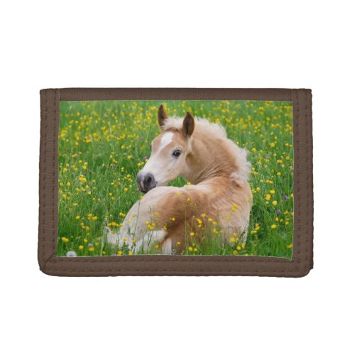 Haflinger Horse Cute Foal Resting in a Flowerbed Trifold Wallet