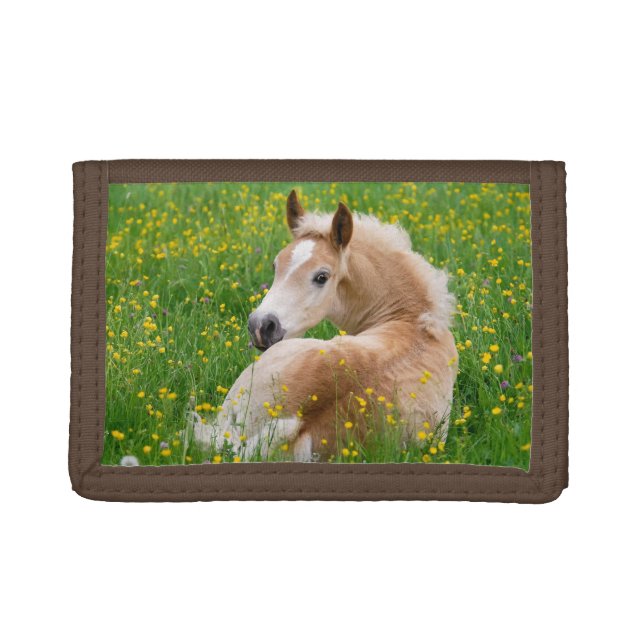 Haflinger Horse Cute Foal Resting in a Flowerbed Trifold Wallet (Front)
