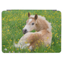 Haflinger Horse Foal Resting Flowerbed Gadgetcover iPad Air Cover