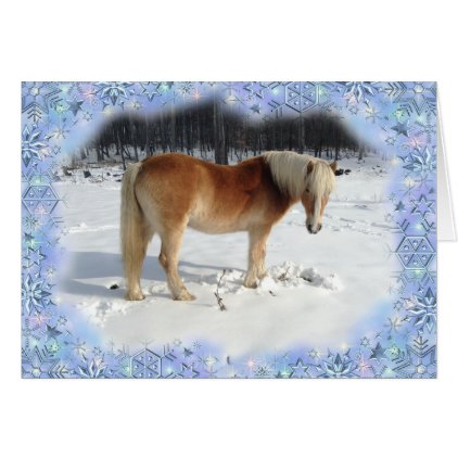 Haflinger Horse Holiday Greeting Card